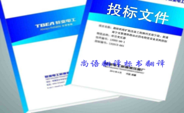 西班牙語投標(biāo)書翻譯價(jià)格要多少錢？收費(fèi)標(biāo)準(zhǔn)是什么？