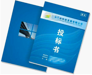 項目標書翻譯多少錢,標書翻譯公司報價